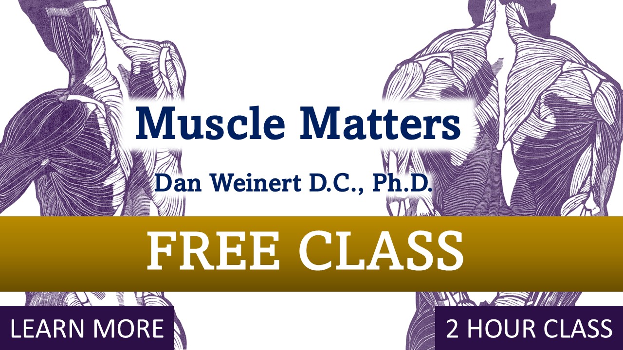 Palmer Online: Muscle Matters